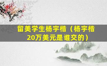 留美学生杨宇楷（杨宇楷 20万美元是谁交的）